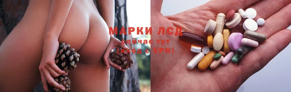 mdpv Богданович