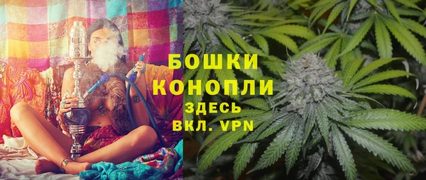 mdpv Богданович