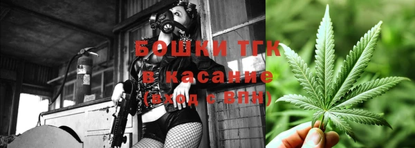 mdma Богородицк