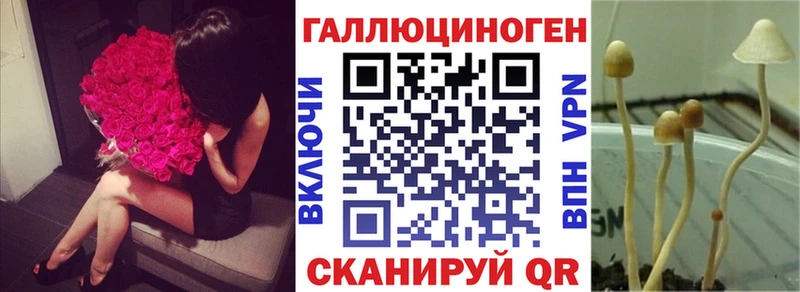 купить закладку  даркнет официальный сайт  Псилоцибиновые грибы мицелий  Севск 